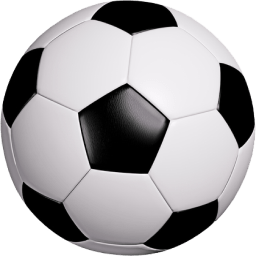 828509:COM-WWW:828509:COM