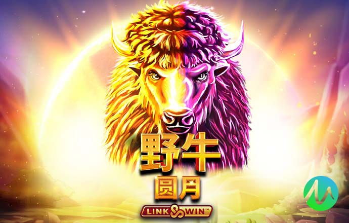 哈哈体育app最新版下载截图3